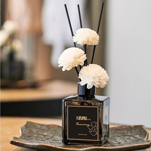 Diffuseur pour maison